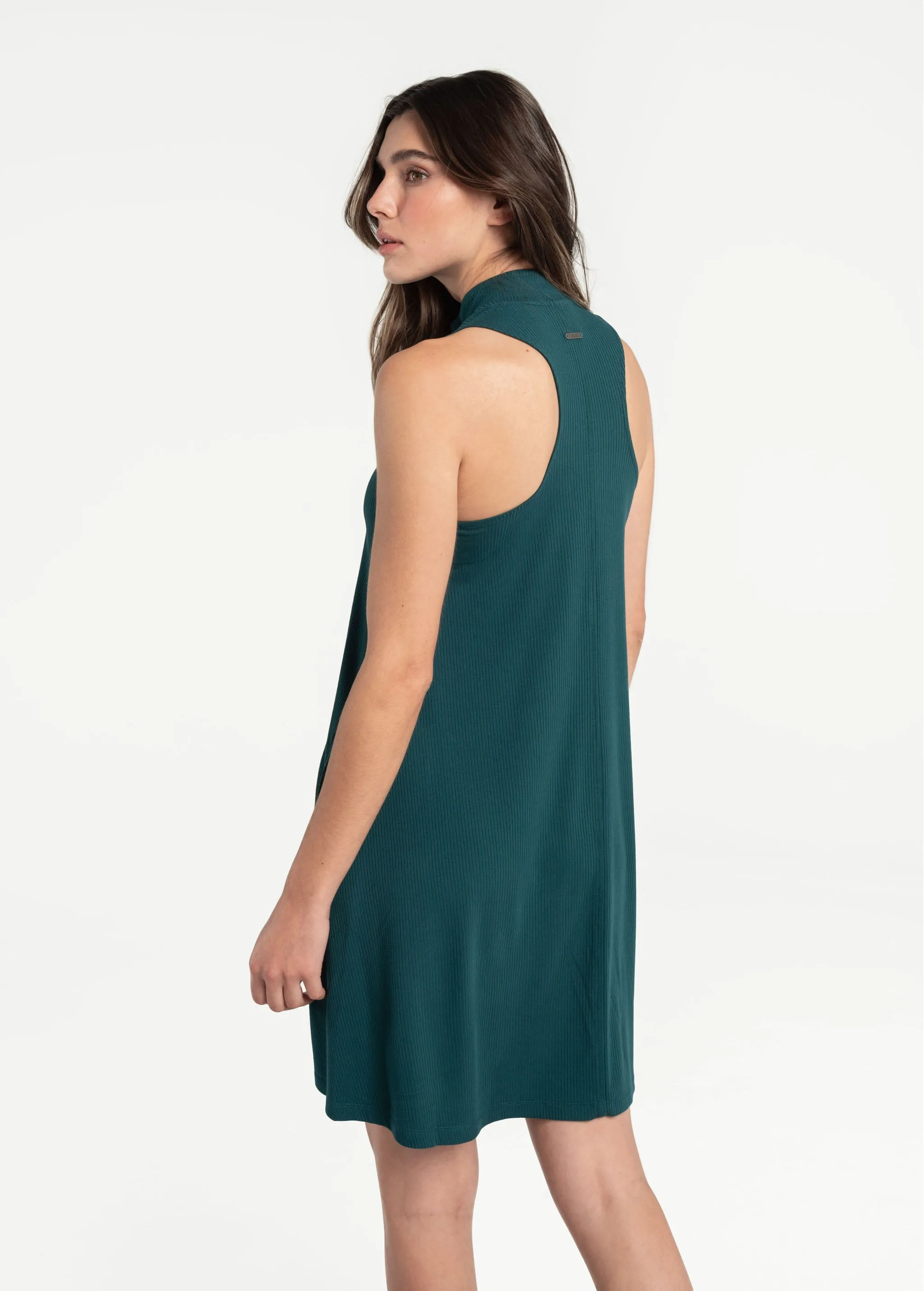 Traverse Swing Dress