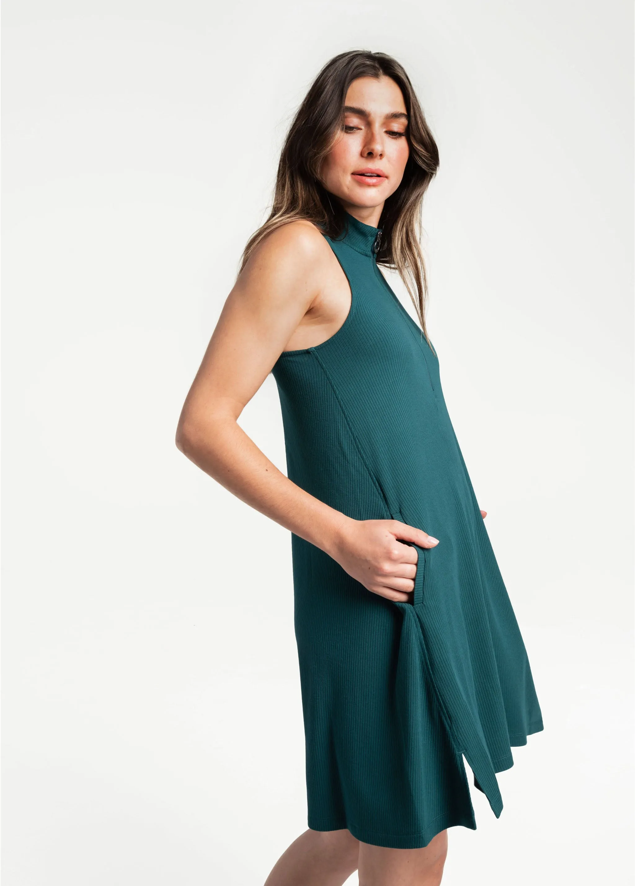 Traverse Swing Dress